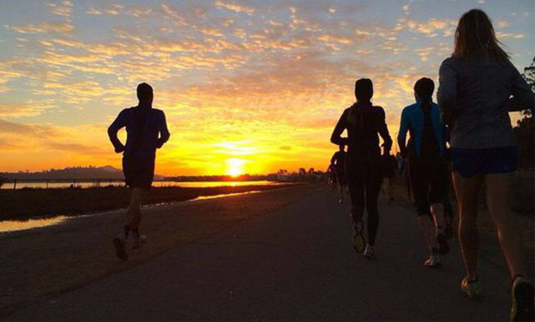 驻马店计步器问答案例